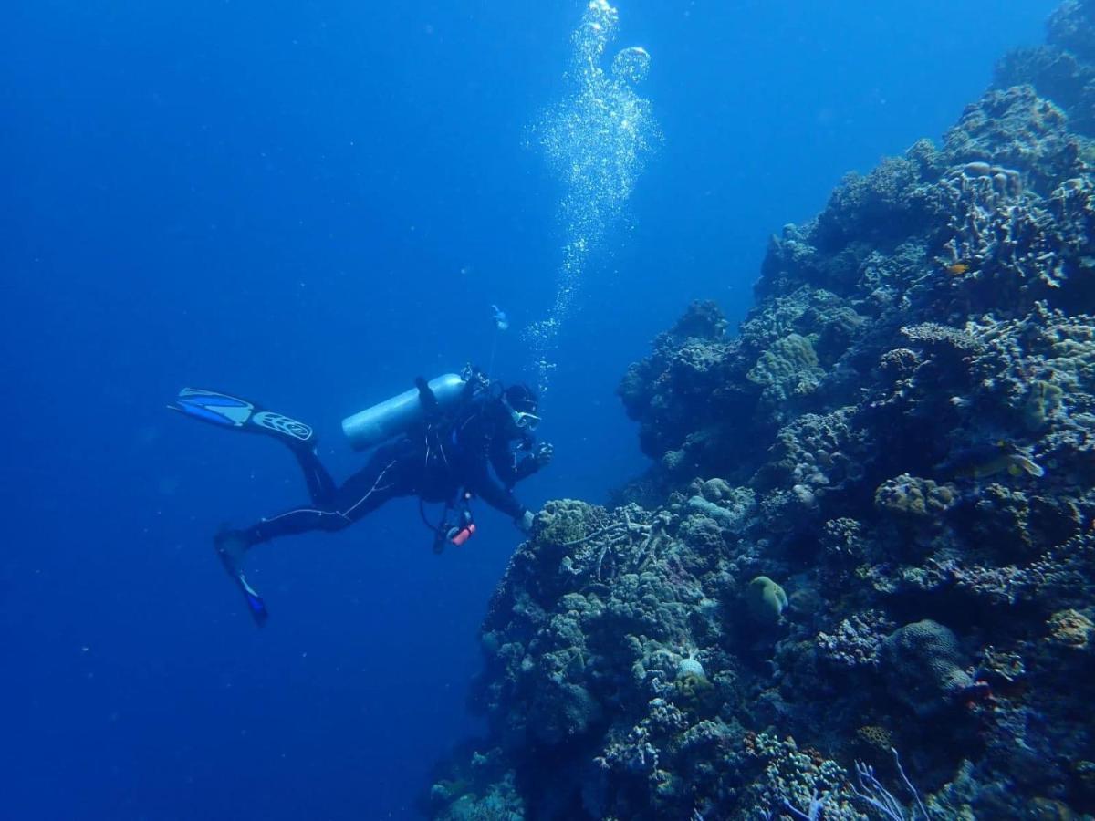 Love'S Beach & Dive Resort Моалбоал Экстерьер фото